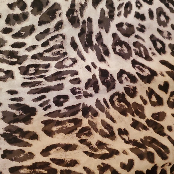 3/$30 H&M Sheer Sleeveless Button Down Top - Picture 3 of 6